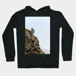 Lonely Pine Tree Hoodie